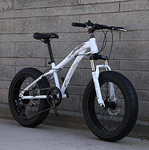Fat Tyre Mountain Bike : BMX Fat Tire Bike biciclette, Mountain Bike for adulti e ragazzi con freni a disco e sospensioni molla della forcella, acciaio al carbonio Telaio 5-25 ( Color : A , Size : 20inch 24 speed )