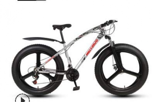 Fat Tyre Mountain Bike : LIANG ATV 26 Pollici Freno a Doppio Disco Pneumatico Largo a velocità variabile per Adulti Mountain Bike Fat Bike, 6, 24