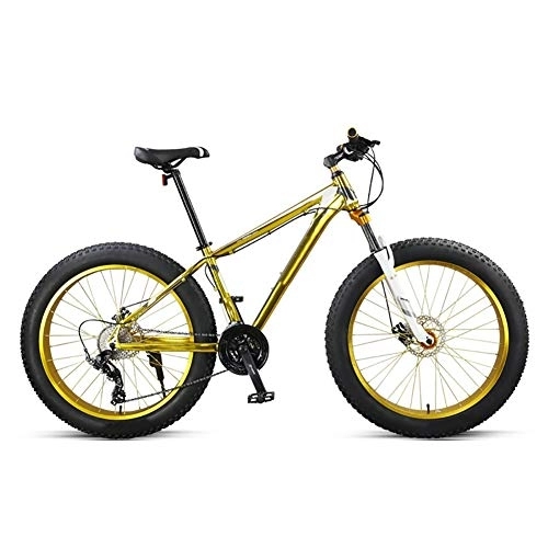 Fat Tyre Mountain Bike : LILIS Mountain Bike Biciclette Fat Tire Bike MTB della Bici Adulta della Strada for la Spiaggia motoslitta Biciclette for Donne degli Uomini (Color : Gold)