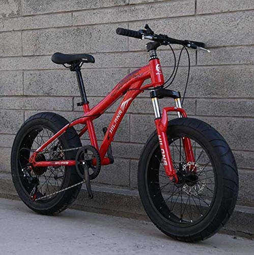 Fat Tyre Mountain Bike : LUO Bicicletta, Fat Tire Bike Bicicletta, Mountain Bike per adulti e adolescenti con freni a disco e forcella ammortizzata a molla, telaio in acciaio al carbonio, D, 20 pollici 27 velocità, D, 20 polli