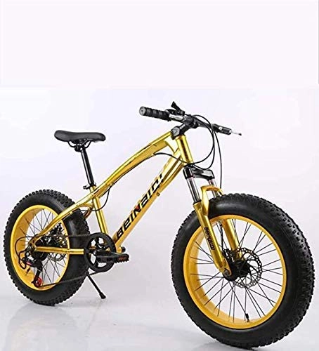 Fat Tyre Mountain Bike : LUO Bicicletta, Mountain Bike da Uomo Fat Tire, Doppio Freno a Disco / Bici da Crociera con Telaio in Acciaio ad Alto Tenore Di Carbonio, Bicicletta da Motoslitta da Spiaggia, Ruote da 24 Pollici, C,