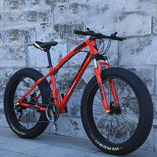 Fat Tyre Mountain Bike : LUO Mountain Bike Fat Tire, Bici da Neve da Spiaggia, Bici da Spiaggia, Bici da Crociera 20 Pollici con Doppio Disco, Ruote Larghe 4.0, Bici da Neve per Adulti, Rosso, 24 Velocità, Rosso, 7 Velocità