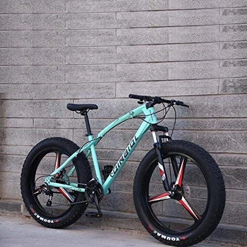Fat Tyre Mountain Bike : Mountain Bike della Bicicletta for Gli Adulti, Acciaio al Carbonio Telaio, Doppio Freno a Disco Anteriore e Completa della Forcella della Sospensione (Color : Green, Size : 26 inch 27 Speed)