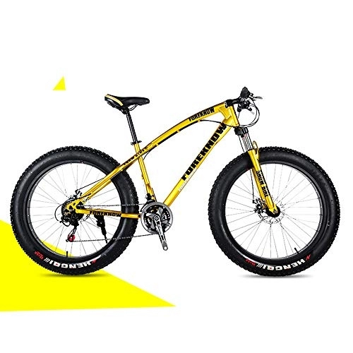 Fat Tyre Mountain Bike : Mountain Bike per Adulti, Freni A Doppio Disco Anteriori E Posteriori, Bici da Spiaggia con Pneumatici Grassi Ammortizzanti, E, 20 inch 27 Speed