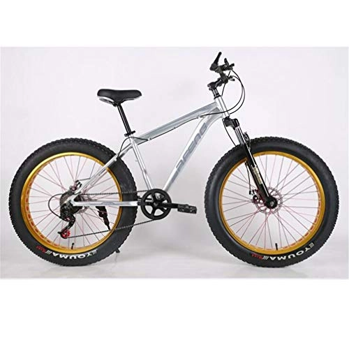 Fat Tyre Mountain Bike : Pneumatici Larghi Pneumatici Mountain Bike, 26 Pollici in Lega di Alluminio della Bicicletta Allargato 4.0 velocità Mountain Bike (Color : Silver)