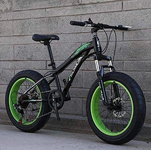 Fat Tyre Mountain Bike : QZ Fat Tire Bike Biciclette, Mountain Bike for Adulti e Ragazzi con Freni a Disco e sospensioni Molla della Forcella, Acciaio al Carbonio Telaio (Color : E, Size : 20inch 27 Speed)
