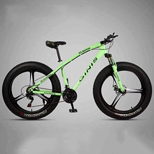 Fat Tyre Mountain Bike : WJSW Mountain Bicycle - City Road Bicycle Dual Suspension Mountain Bikes Sports Leisure (Colore: Verde, Dimensione: 24 velocità)
