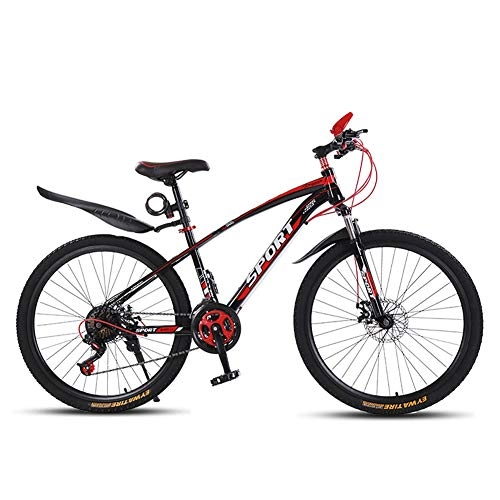 Mountain Bike : Fuori-strada Mountain Bike Per Adulto Signore, Hardtail Velocità Variabile Corsa Mtb, Sospensione Forcella Anteriore Freno A Disco Bicicletta Da Montagna, 21 Velocità D 24"