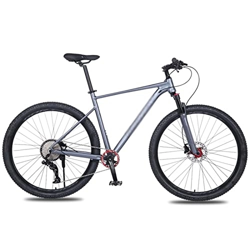 Mountain Bike : HESND ZXC Biciclette per Adulti Telaio In Lega di Alluminio Mountain Bike Bicicletta Doppio Freno Anteriore; Posteriore A Sgancio Rapido Lmitation Carbon (colore: Grigio)