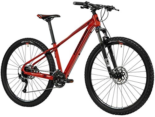 Mountain Bike : LOMBARDO BICI SESTRIERE 350 Ruota 29 Shimano Altus 24V SUNTOUR XCM HLO Gamma 2021 (Red Black Glossy, 45 CM)