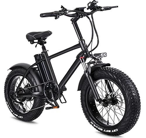 Bicicletas de montaña eléctrica : 20'' Bicicleta Eléctrica, E Bike con Batería Litio Extraible 48V 15Ah, Asistencia de Pedal Bici Electrica, Fat Electric Ciudad Bike para Adolescentes y Adultos
