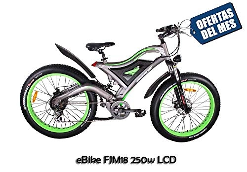 Bicicletas de montaña eléctrica : FUJISOL Bicicleta de montaña elctrica FJM18-250W LCD