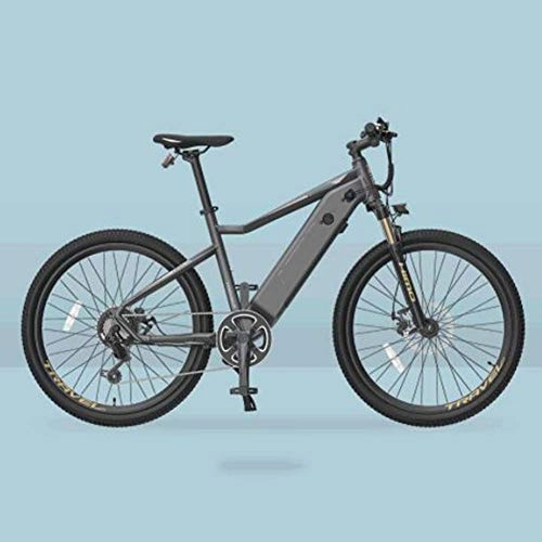Bicicletas de montaña eléctrica : FZYE Aleación Aluminio Bicicleta Eléctrica, Batería Litio 48V 10A Bike Motor 250W Deporte Aire Libre Ciclismo