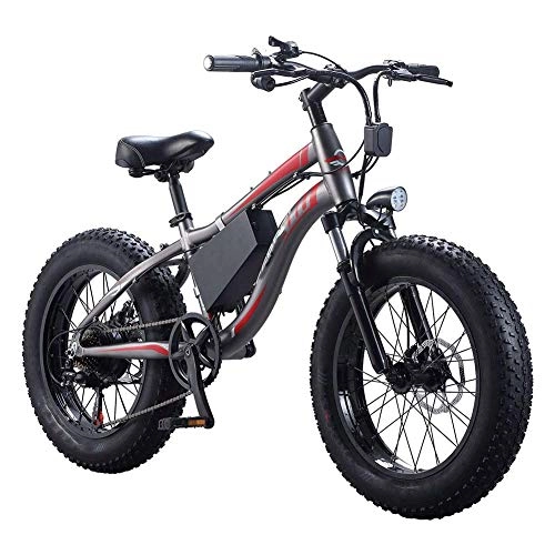 Bicicletas de montaña eléctrica : HY-WWK Bicicleta Eléctrica de Playa para Adultos, 7 Velocidades 250 W Motor a Prueba de Agua 20 Pulgadas 4.0 Fat Tire Ebike Frenos de Disco Doble Batería de Nieve Batería Extraíble