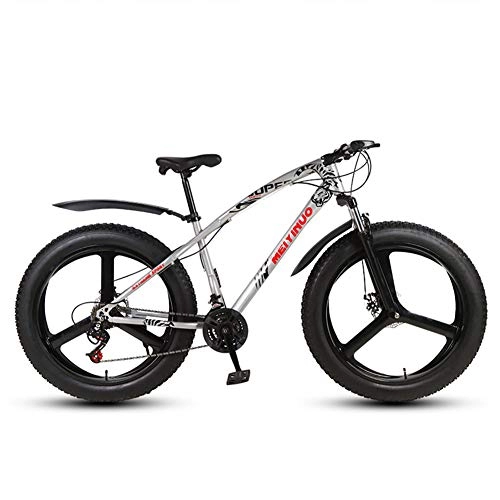 Bicicletas de montaña Fat Tires : FXMJ Bicicleta de montaña para Hombre, Bicicletas de Freno / Disco Doble, Bicicleta de Motos de Nieve para Playa, Ruedas de aleación de Aluminio de 26 Pulgadas, Plata