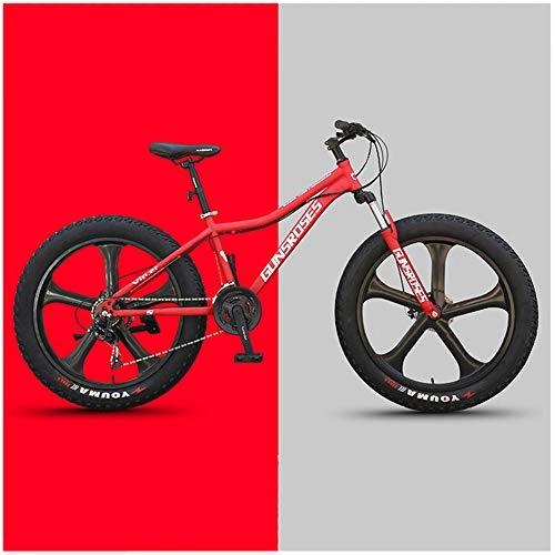 Bicicletas de montaña Fat Tires : LDLL Bicicleta de montaña 4.0 Ruedas Anchas Fat Tire MTB, Doble Disco de Freno suspensin Bicicleta para Adultos, 26 Pulgadas 21 / 24 / 27 / 30 Velocidad