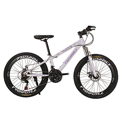 Bicicletas de montaña Fat Tires : MYMGG Bicicleta de montaña con Estructura de Acero al Carbono de 24 velocidades Ruedas de 26 Pulgadas con Frenos de Disco