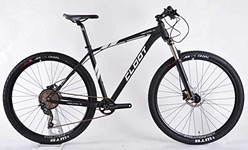 Bicicletas de montaña : CLOOT Prolevel monoplato 1x10 Bicicleta montaña, Unisex, Talla L (178-188)