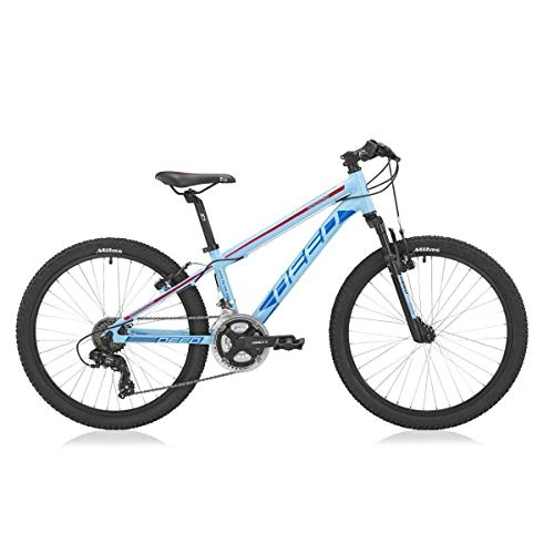 Bicicletas de montaña : DEED Rookie 240 - Frenos de llanta para nios (61 cm, 31, 75 cm), Color Azul Claro y Rojo