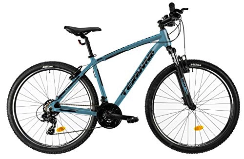 Bicicletas de montaña : DHS Teranna 2723 - Frenos de llanta para Hombre (42 cm, 21 SP), Color Azul