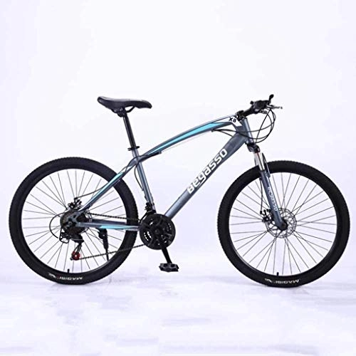 Bicicletas de montaña : MJY Bicicleta Bicicleta de montaña, bicicleta de carretera, bicicleta de cola dura, bicicleta de 26 / 24 pulgadas, bicicleta de velocidad variable, bicicleta de absorcin de doble choque 6-11, 24 pulgad