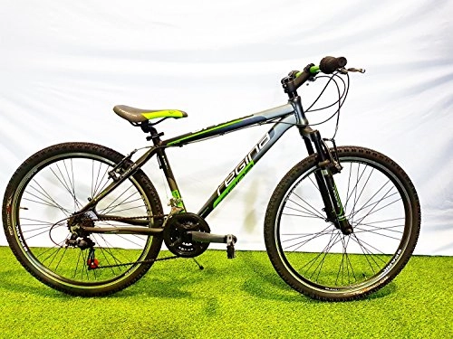 Bicicletas de montaña : Regina Reina Bicicleta Bicicleta MTB 26Spark 21V Cambio Stef 40Nero-Verde