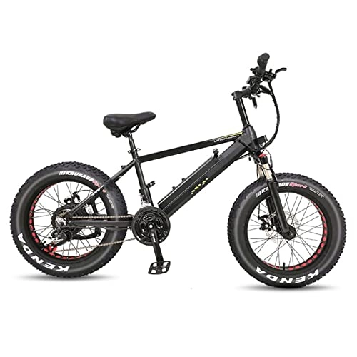 Electric Mountain Bike : 24.8 MPH Adult Electric Mountain Bicycles, 20" Electric Bike for Adults 750W Ebike with 48V 20Ah Removable Lithium Battery 21 Speed Gears