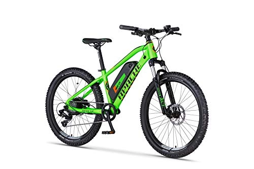 junior electric bike