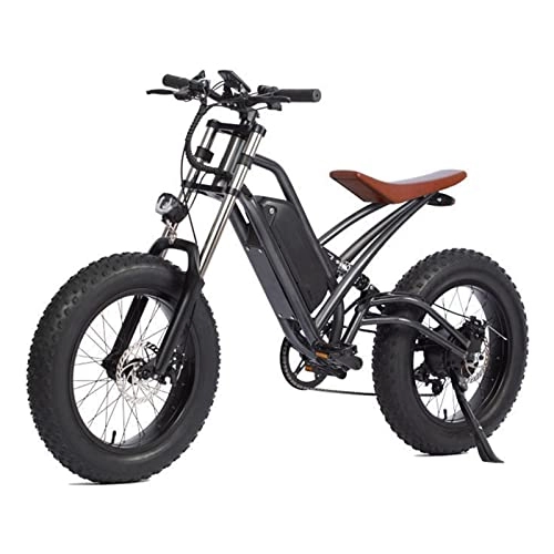 Electric Mountain Bike : HMEI Electric Bikes for Adults Electric Bike for Adults 750W Motor 48V Lithium Battery 20 Inch Fat Tire Electric Assisted Bicycle Double Shock Beach Snow Electric Bicycle (Color : Black)