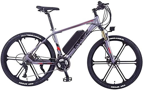 Electric Mountain Bike : Leifeng Tower High-speed 26 Inch Electric Bike Electric Mountain Bike 350W Ebike Electric Bicycle, 30Km / H Adults Ebike with Removable Battery, Suitable for All Terrain (Color : Silver)