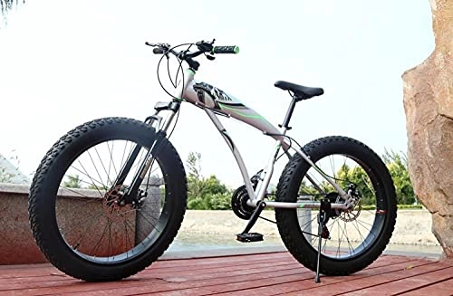 Fat Tyre Mountain Bike : Adult Variable Speed ​​Bicycle Snowmobile Damping Disc Brake, Widened Tire Beach Bike Urban Bicycle, Men Women Road Bike-Silver_26-Inch X17 Inches