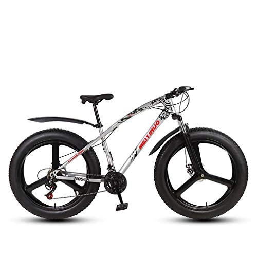 Fat Tyre Mountain Bike : ALQN Mens Adult Fat Tire Mountain Bike, Variable Speed Snow Bikes, Double Disc Brake Beach Cruiser Bicycle, 26 inch Magnesium Alloy Integrated Wheels, Silver, 27 Speed