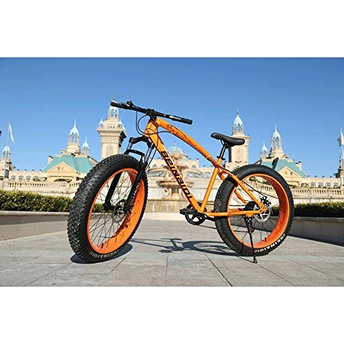 Fat Tyre Mountain Bike : DFEIL 26 Inches Fat Tire Mountain Bikes, Adult All Terrain Mountain Bike, High-carbon Steel Frame Hardtail Mountain Bike With Dual Disc Brake (Color : 30 speed)