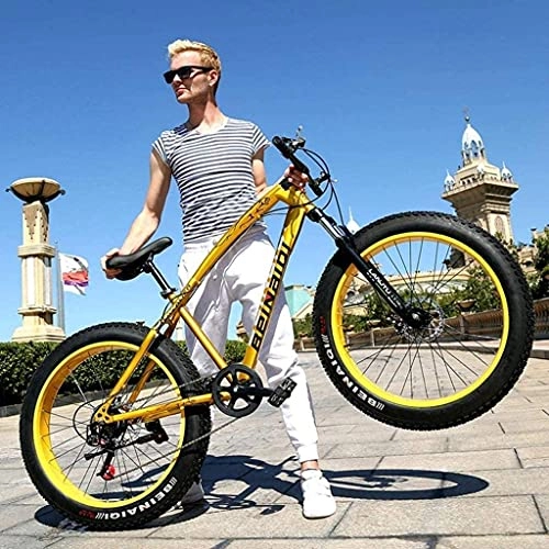 Fat Tyre Mountain Bike : HJRBM Mountain Bikes， 24 / 26 inch Mountain Bike， High-Tensile Steel Frame Mountain Bike Double Disc Brake Bicycle Bike for Adult 5-27，26 inch / 27 Speed jianyou (Color : 24 Inch / 21 Speed)