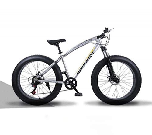 Fat Tyre Mountain Bike : JYTFZD WENHAO Mountain Bikes, 26 Inch Fat Tire Hardtail Mountain Bike, Dual Suspension Frame and Suspension Fork All Terrain Mountain Bicycle, Men's and Women Adult (Color : Silver spoke)