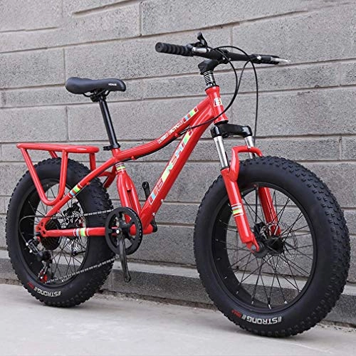Fat Tyre Mountain Bike : Laicve Outdoor Fat Tire Bicycle Mountain Bike, Beach Snow Bicycles City Bike Double Disc Brake Off-Road Variable Speed Bikes for Adult Men And Women 20 Inch Wheels