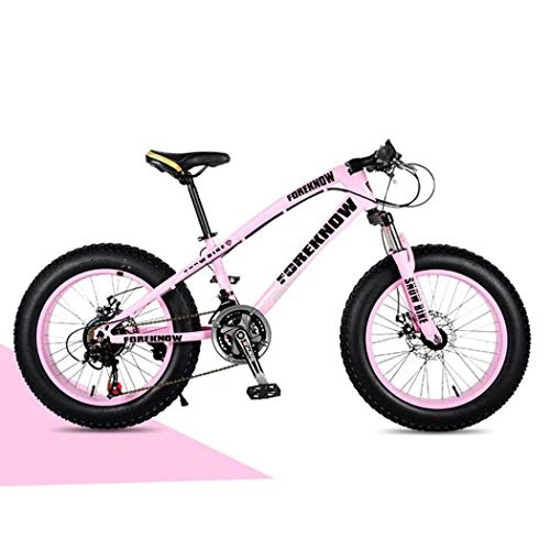 Fat Tyre Mountain Bike : Langlin 20" Mountain Bike Bicycle for Adult Teen Dual Disc Brake Hardtail Mountain Bike Fat Tire Beach Snow Bike High-carbon Steel Frame Spoke Wheel 7 / 21 / 24 / 27 Speed, pink, 20 inch 7 speed