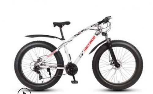 Fat Tyre Mountain Bike : LIANG ATV 26-Inch Double Disc Brake Wide Tire Variable Speed Adult Mountain Bike Fat Bike, 2, 21