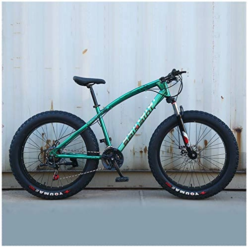 Fat Tyre Mountain Bike : LJJ 26 Inch Hardtail Mountain Bike, Fat Tire Mountain Bikes with Adjustable Seat, Double Disc Brake High-carbon Steel Bicycle, 7 / 21 / 24 / 27 / 30 Speed