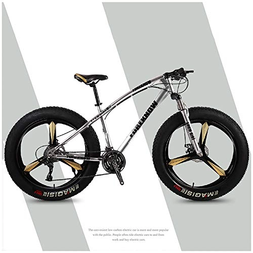 Fat Tyre Mountain Bike : LJJ Mountain Bikes, 26 Inch Fat Tire Hardtail Off-Road Beach Snowmobile, High Carbon Steel Frame Multiple Speed Options For Adult
