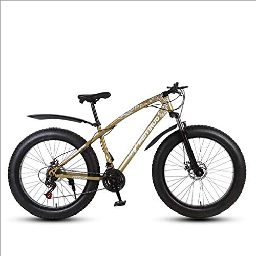 Fat Tyre Mountain Bike : LUO Bike，Mens Adult Fat Tire Mountain Bike, Variable Speed Snow Bikes, Double Disc Brake Beach Bicycle, 26 inch Wheels Cruiser Bicycles, Silver, 24 Speed, Gold, 21 Speed