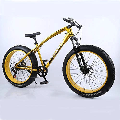 Fat Tyre Mountain Bike : Mountain bike 4.0 fat tire bicycle Double disc brake beach bicycle snow bike light high carbon steel mountain bicycle-gold_21 speed 24 inch_Spain
