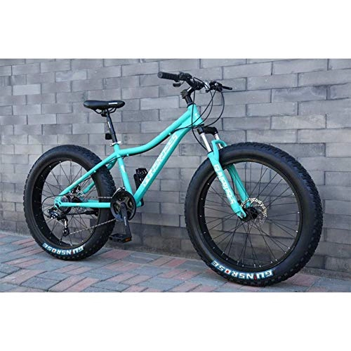 Fat Tyre Mountain Bike : Oanzryybz 26 Inch 4.0 Fat Tire Snowmobile, Variable Speed Mountain Bike, 7 / 21 / 24 / 27 / 30 Speed, for Men, Women, Students, Blue, 24