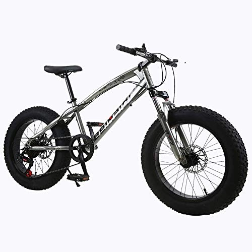 Fat Tyre Mountain Bike : Oanzryybz Fat Tire Mens Shift Mountain Bike, Rear-Wheel Disc Brakes, Medium High-Tensile Steel Frame, 7 / 21 / 24-Speed (Color : 9, Size : 21Speed)