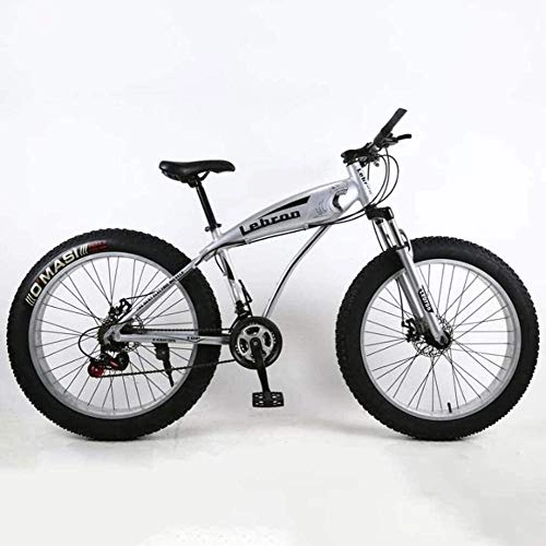 Fat Tyre Mountain Bike : Painting Fat Tire Mountain Bike, Lightweight High-Carbon Steel Frame Cruiser Bikes Beach Snowmobile Bicycle Double Disc Brake 26 Inch Wheels BXM bike (Color : Silver, Size : 27 speed)