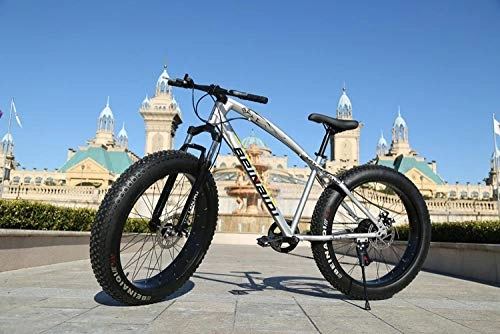 Fat Tyre Mountain Bike : peipei 26 Inch Wheel Adult Mountain Fat Bike 24 / 27 / 30 Speed Road Bicycle Men Front And Rear Mechanical Disc Brakes Steel Frame Ride-Silver_26 inch (160-195cm)_24 Speed
