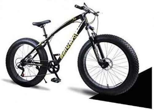 Fat Tyre Mountain Bike : QZ Hardtail Mountain Bikes, Dual Disc Brake Fat Tire Cruiser Bike, High-Carbon Steel Frame, Adjustable Seat Bicycle, Size:26 inch 21 speed (Color : Black, Size : 26 inch 24 speed)