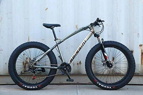 Fat Tyre Mountain Bike : QZ Mountain Bike for Adults, Hard-Tail Mountain Bicycle, High Carbon Steel Frame, Dual Disc Brake And Front Suspension Fork (Color : E, Size : 26 inch 27 speed)