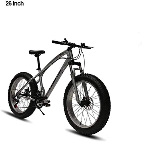 Fat Tyre Mountain Bike : Smisoeq Adult 26 inches mountain biking, Men Women double disc mountain bike, beach bike fat tire snow teenage student city road racing bike (Color : Silver)