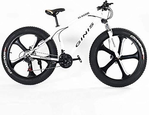 Fat Tyre Mountain Bike : Teens Mountain Bikes, 21-Speed 24 Inch Fat Tire Bicycle, Male and Female Students Bicycle, for Outdoor Sports, Exercise (Color : White)